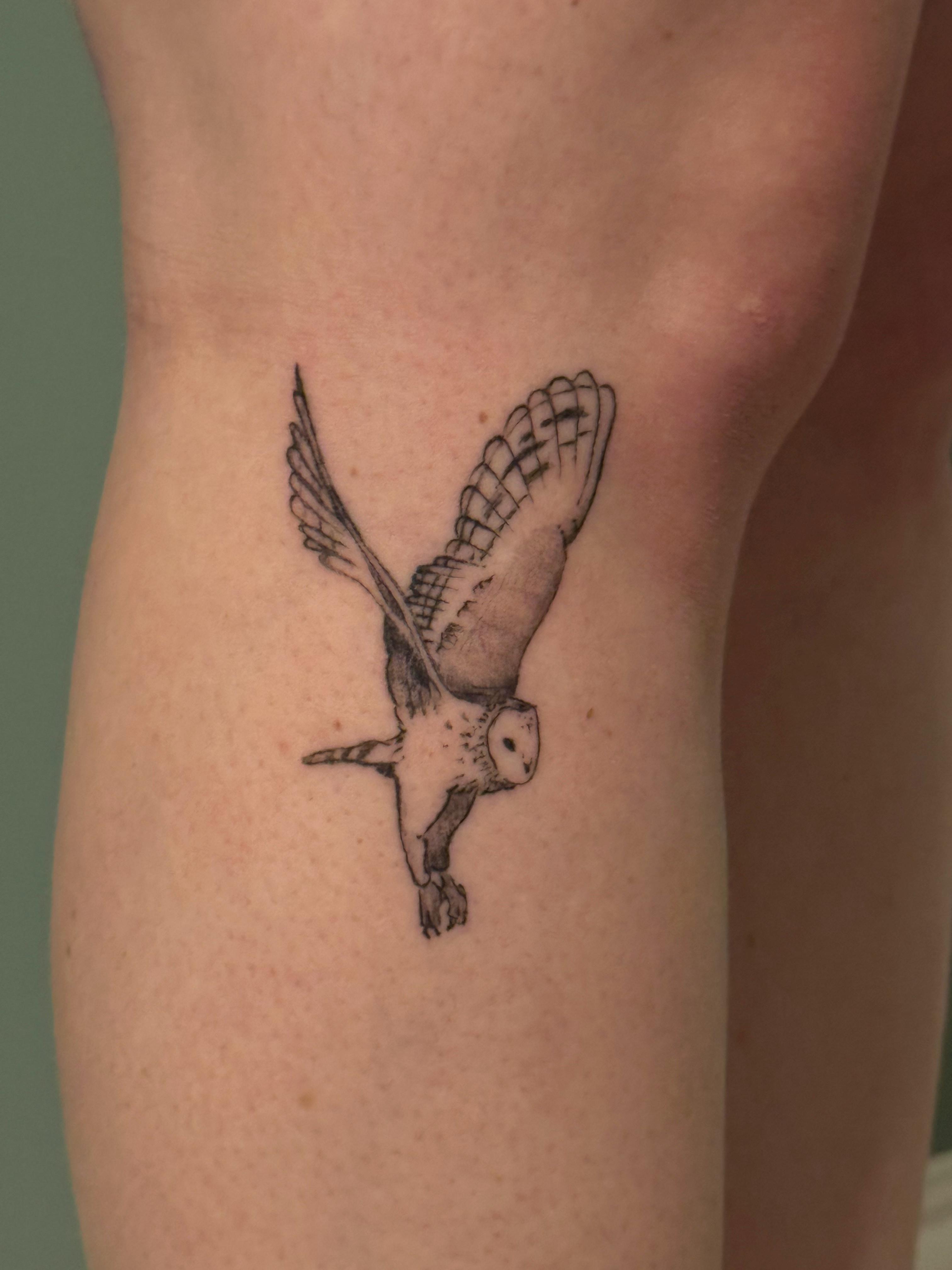 Owl 2